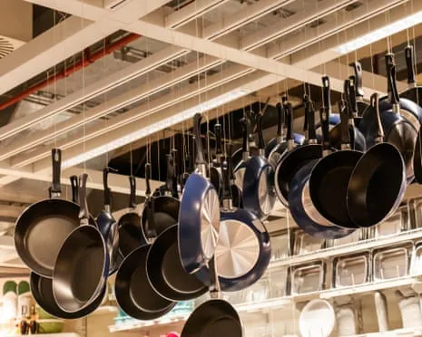 Teflon Diet, Garlic Milk and Zebra Cows Shine at 2025 Ig Nobel Prizes